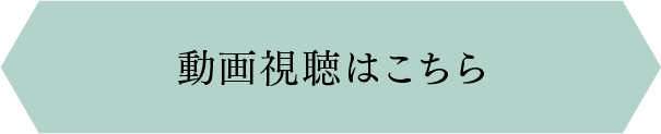 動画視聴はこちら