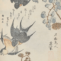 春秋庵永女 錦鳳堂永雄 葛飾北斎 『花鳥画賛歌合』