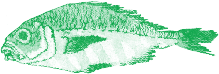作品