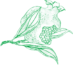 作品