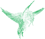 作品