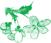 作品