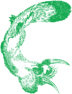 作品