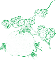 作品