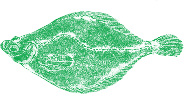 作品