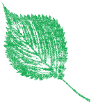 作品