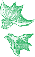 作品