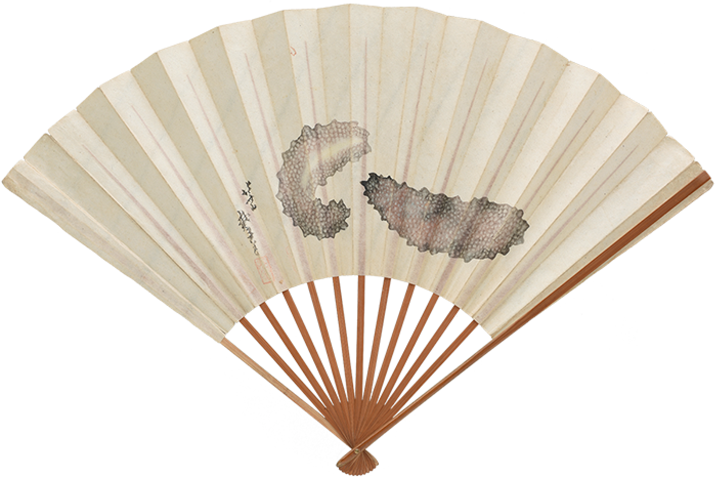 なまこ図